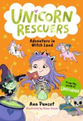 Unicorn Rescuers: Adventure in Witch Land (ISBN: 9781529531640)