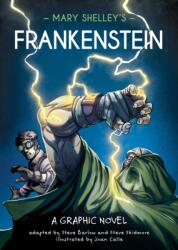 Classics in Graphics: Mary Shelley's Frankenstein (ISBN: 9781445191508)