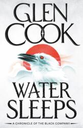 Water Sleeps (ISBN: 9781035929931)