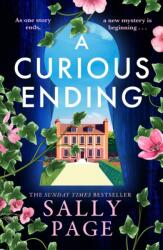 A Curious Ending (ISBN: 9780008767570)