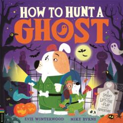 How to Hunt a Ghost (ISBN: 9781837250585)