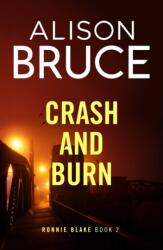 Crash and Burn (ISBN: 9780349135434)