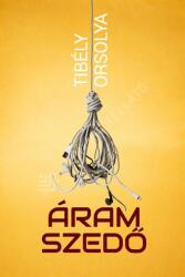 Áramszedő (ISBN: 9786156395405)