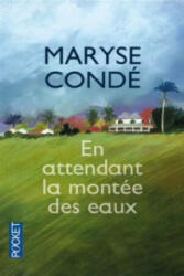 En attendant la montee des eaux - Maryse Conde (2013)