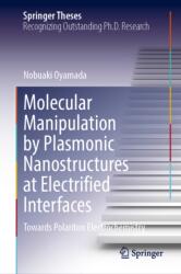 Molecular Manipulation by Plasmonic Nanostructures at Electrified Interfaces (ISBN: 9789819211869)