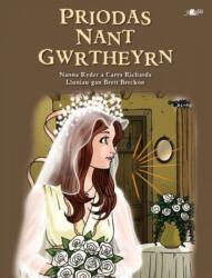 Priodas Nant Gwrtheyrn (ISBN: 9781800998889)