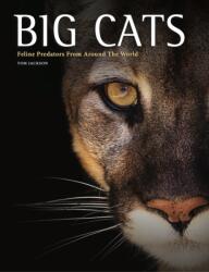Big Cats (ISBN: 9781838867164)