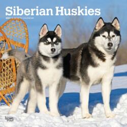 Siberian Huskies 2027 12 X 24 Inch (Hanging) Monthly Square Wall Calendar Plastic-Free (ISBN: 9798330712694)