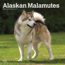Alaskan Malamutes 2027 12 x 24 Inch (Hanging) Monthly Square Wall Calendar Plastic-Free BrownTrout Animals Dog Breeds (ISBN: 9798330712168)