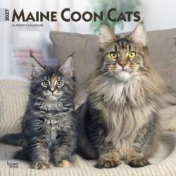 Maine Coon Cats 2027 12 X 24 Inch (Hanging) Monthly Square Wall Calendar Plastic-Free (ISBN: 9798330711819)