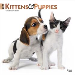 Kittens & Puppies 2027 12 X 24 Inch (Hanging) Monthly Square Wall Calendar Foil Stamped Cover Plastic-Free (ISBN: 9798330711796)