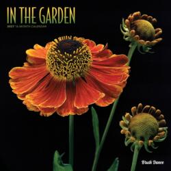 In the Garden 2027 12 X 24 Inch (Hanging) Monthly Square Wall Calendar Plastic-Free (ISBN: 9798330713974)