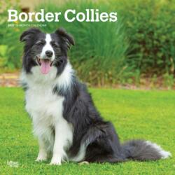 Border Collies 2027 12 X 24 Inch (Hanging) Monthly Square Wall Calendar Plastic-Free (ISBN: 9798330712274)
