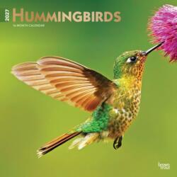 Hummingbirds 2027 12 x 24 Inch (Hanging) Monthly Square Wall Calendar Foil Stamped Cover Plastic-Free BrownTrout Animals Wildlife (ISBN: 9798330712069)