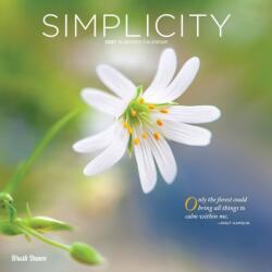 Simplicity 2027 12 X 24 Inch (Hanging) Monthly Square Wall Calendar Plastic-Free (ISBN: 9798330713912)