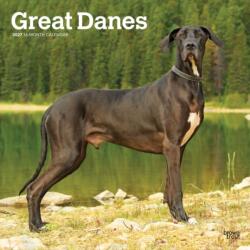 Great Danes 2027 12 x 24 Inch (Hanging) Monthly Square Wall Calendar Plastic-Free BrownTrout Animals Dog Breeds (ISBN: 9798330714216)