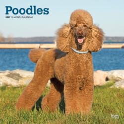 Poodles 2027 12 x 24 Inch (Hanging) Monthly Square Wall Calendar Plastic-Free BrownTrout Animals Dog Breeds (ISBN: 9798330712595)