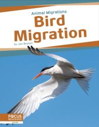 Bird Migration (ISBN: 9781637396056)