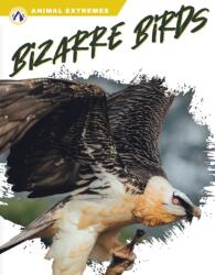 Bizarre Birds (ISBN: 9781637385272)