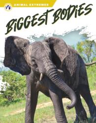 Biggest Bodies (ISBN: 9781637385265)