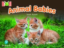 Bug Club Reading Corner: Age 4-7: Animal Babies (ISBN: 9781292447209)
