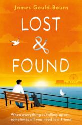 Lost & Found (ISBN: 9781409191322)
