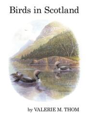Birds in Scotland (ISBN: 9781408138373)