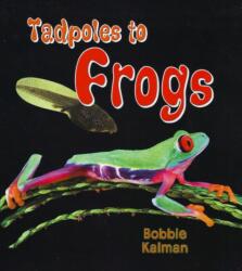Tadpoles to Frogs (ISBN: 9780778739753)