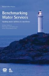 Benchmarking Water Services (ISBN: 9781843391982)