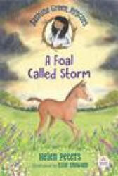 Jasmine Green Rescues: A Foal Called Storm - Ellie Snowdon (ISBN: 9781536222722)