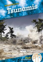 Tsunamis (ISBN: 9781098285524)