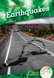 Earthquakes (ISBN: 9781098285517)