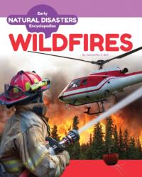 Wildfires (ISBN: 9781098296070)
