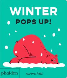 Winter Pops Up! (ISBN: 9781837292103)