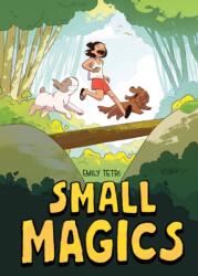 Small Magics (ISBN: 9781250855657)