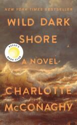 Wild Dark Shore (ISBN: 9781250478849)