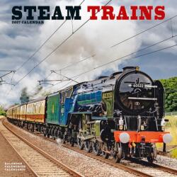 Steam Trains (ISBN: 9781806481897)