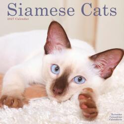 Cats Siamese (ISBN: 9781806481262)