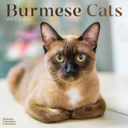 Cats Burmese (ISBN: 9781806481248)