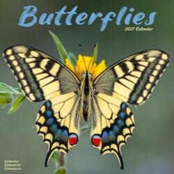 Butterflies (ISBN: 9781806481217)