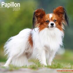 Papillon (ISBN: 9781806480708)