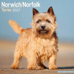 Norwichnorfolk Terrier (ISBN: 9781806480685)