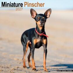 Miniature Pinscher (ISBN: 9781806480661)