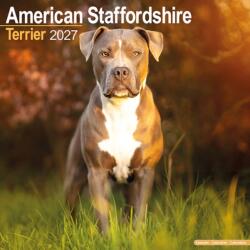 American Staffordshire Terrier (ISBN: 9781806480050)