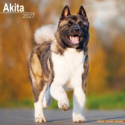 Akita (ISBN: 9781806480029)