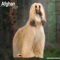 Afghan (ISBN: 9781806480005)