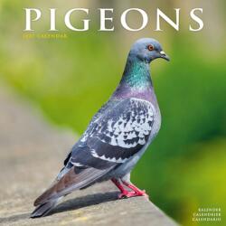 Pigeons (ISBN: 9781806481453)