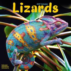 Lizards (ISBN: 9781806481408)