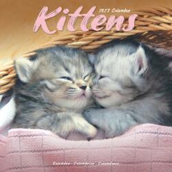 Kittens (ISBN: 9781806481392)