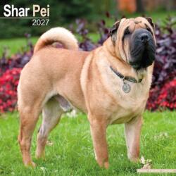 Shar Pei (ISBN: 9781806480869)